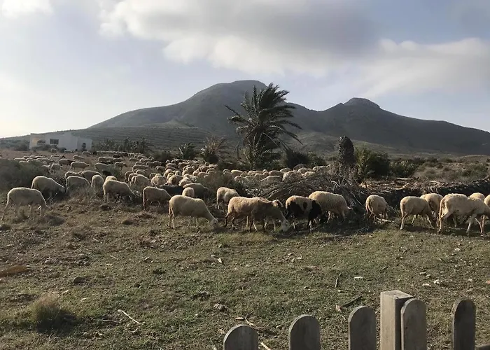 El Escullos